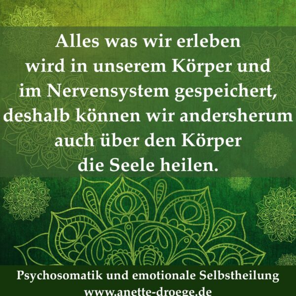 BILDAlles waswir erlebenGROß BILDAlles waswir erlebenGROß