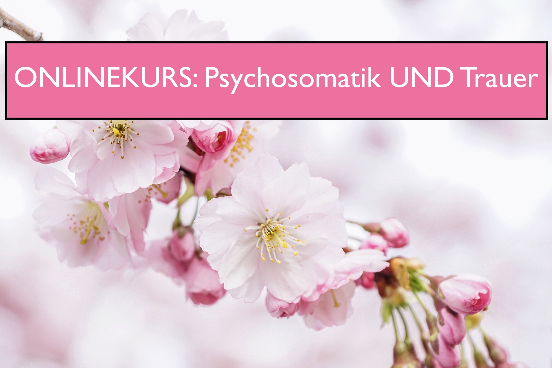 Titelbild Trauer